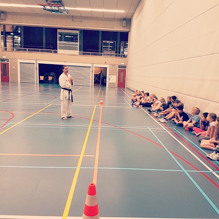 SE-Fi karate Nijmegen basisschool karate clinics Ark