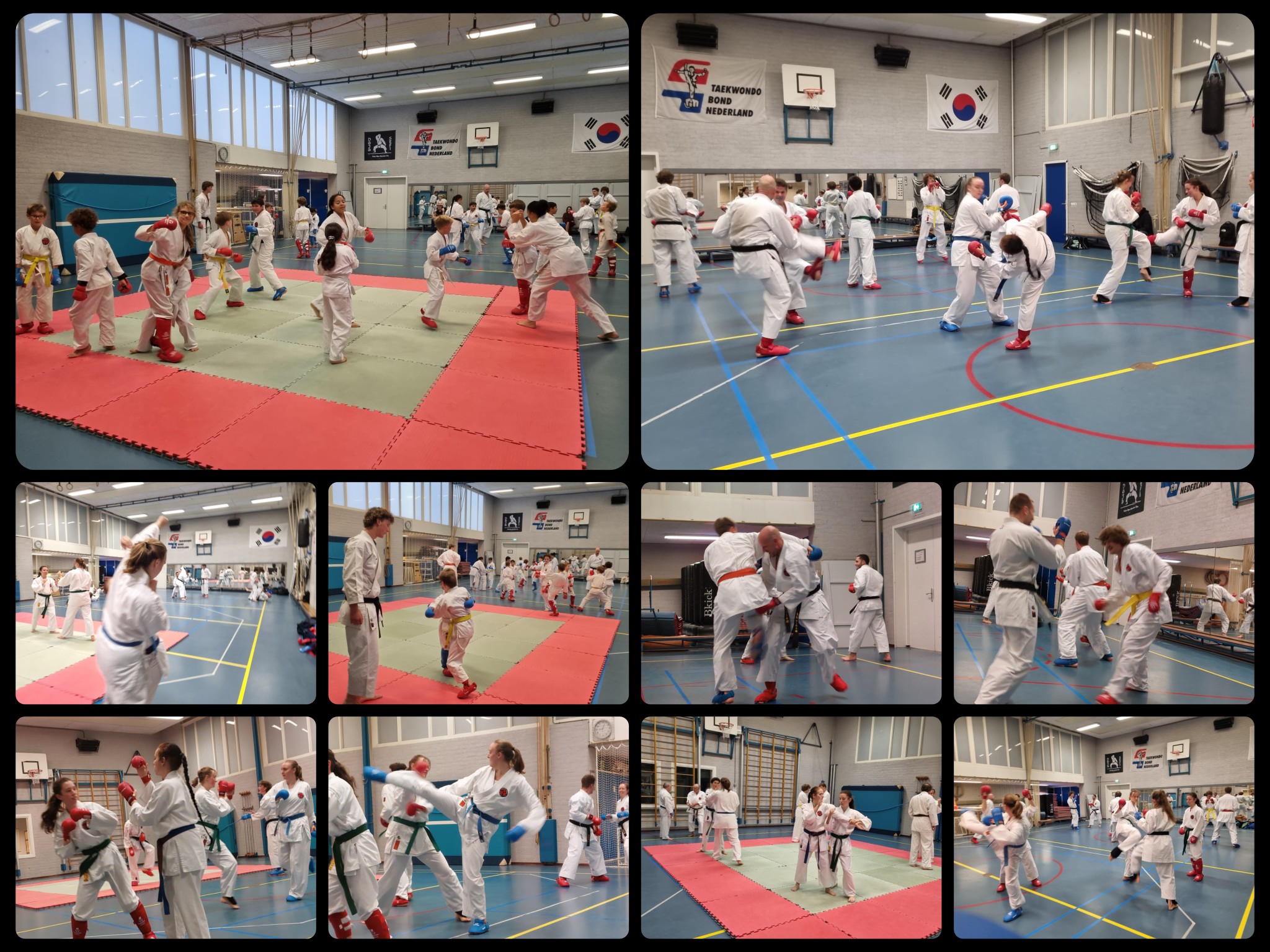 SEFI karate-0123