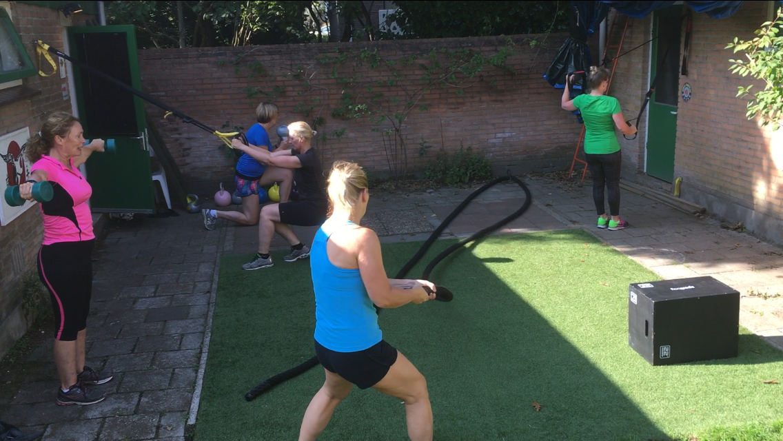 Training SEFI fit