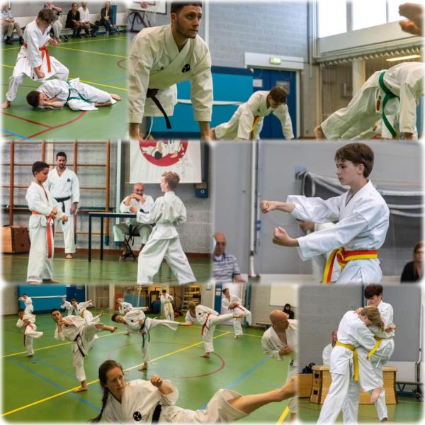 examen-fotos-compilatie-CAf4SJoT