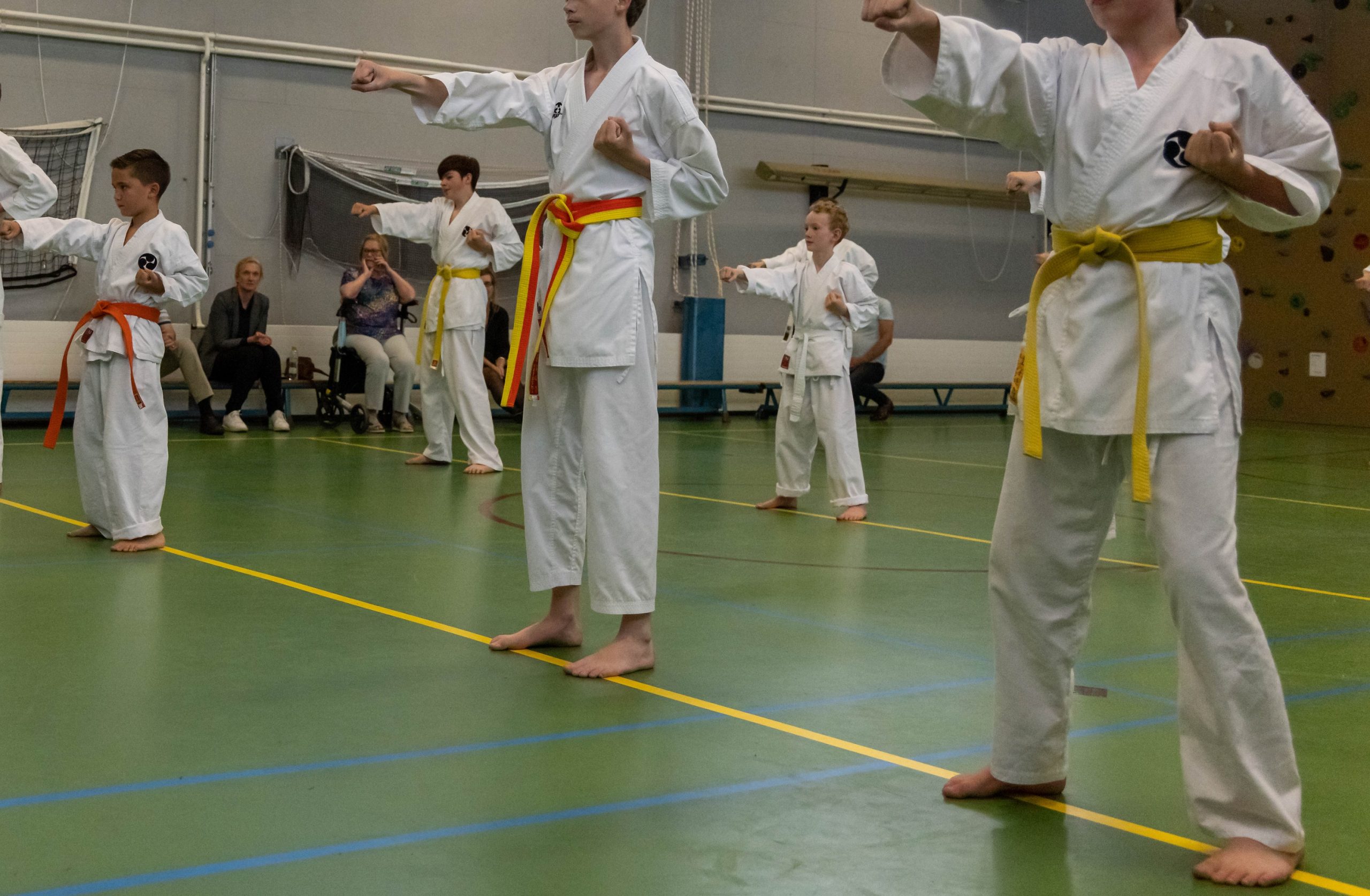 karate kyugraad 01
