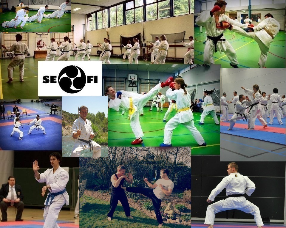 karate-nijmegen-sefi martial arts3